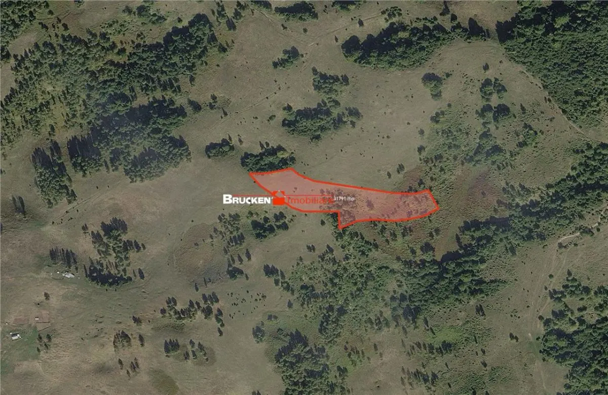 Portofoliu funciar de peste 10 hectare | Izbuc - Carpinet | Jud. Bihor - foto 4