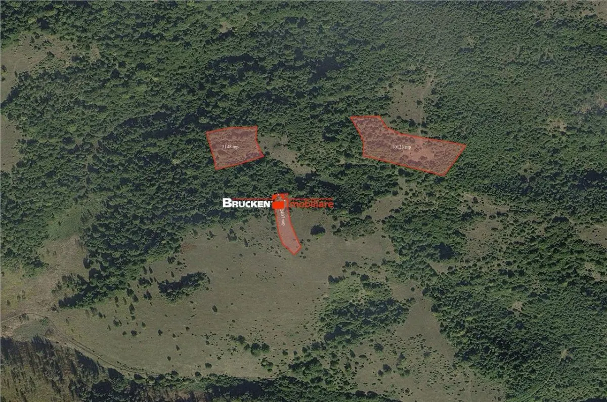 Portofoliu funciar de peste 10 hectare | Izbuc - Carpinet | Jud. Bihor - foto 5