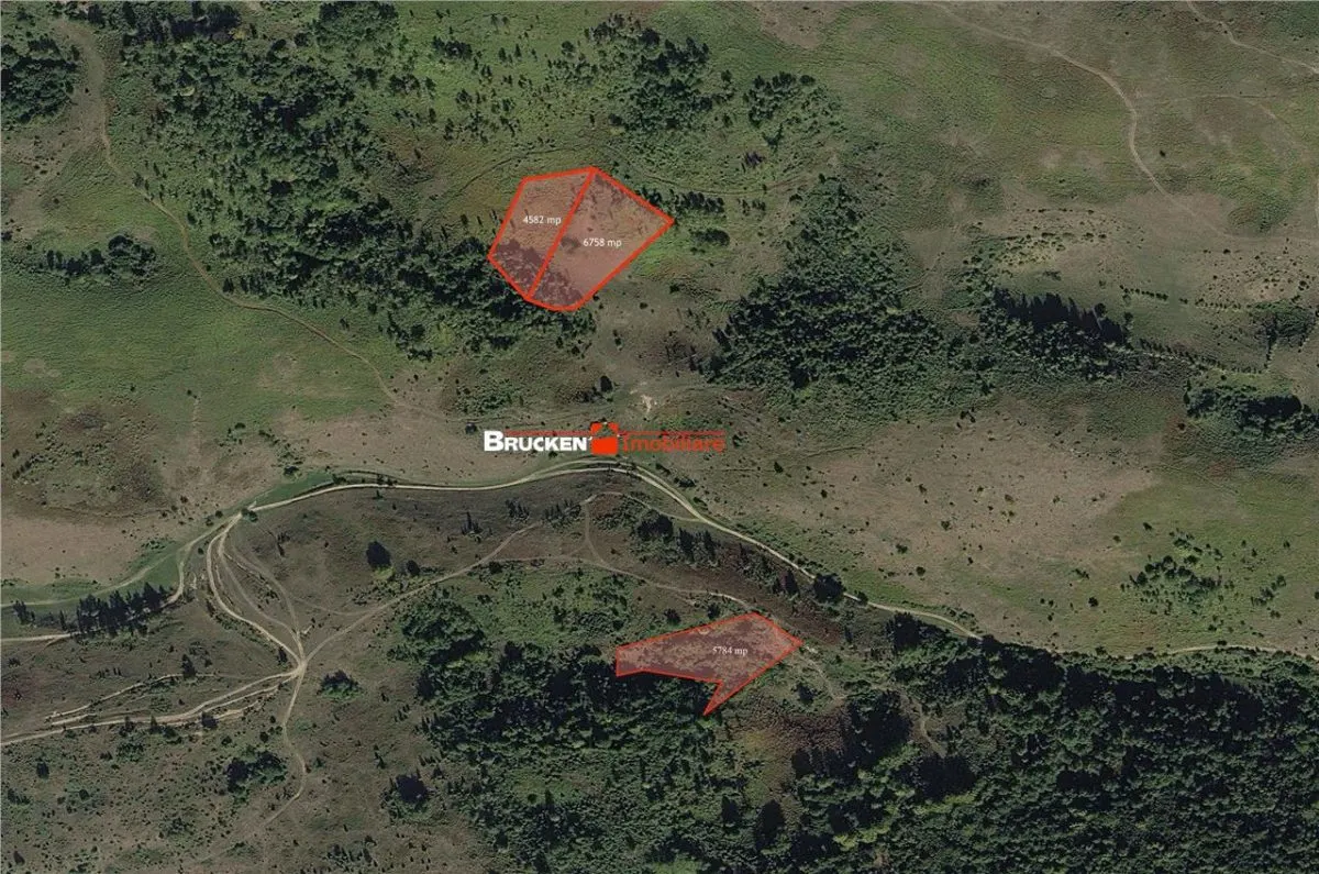 Portofoliu funciar de peste 10 hectare | Izbuc - Carpinet | Jud. Bihor - foto 6