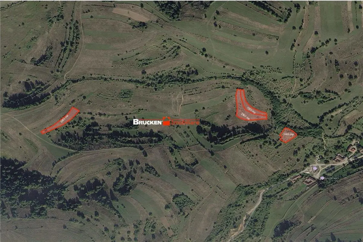 Portofoliu funciar de peste 10 hectare | Izbuc - Carpinet | Jud. Bihor - foto 7