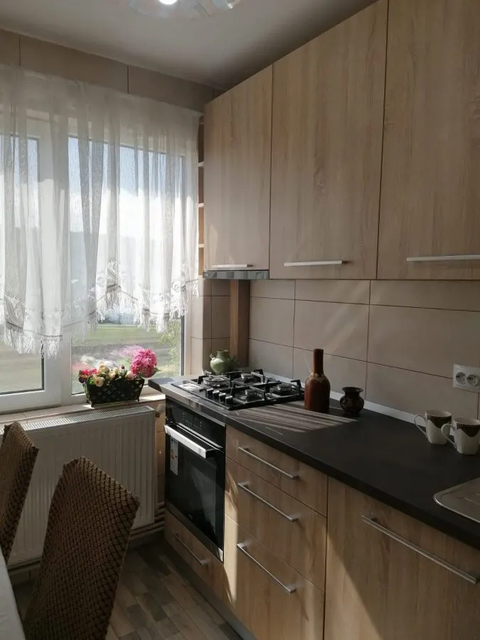 Apartament 2 Camere Alexandru cel Bun - 450 euro - foto 1