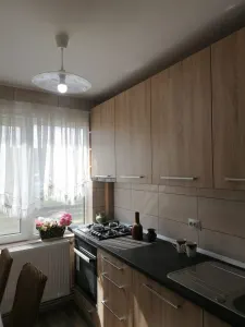 Apartament 2 Camere Alexandru cel Bun - 450 euro - foto 11