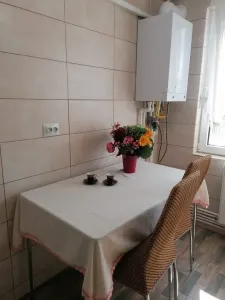 Apartament 2 Camere Alexandru cel Bun - 450 euro - foto 12