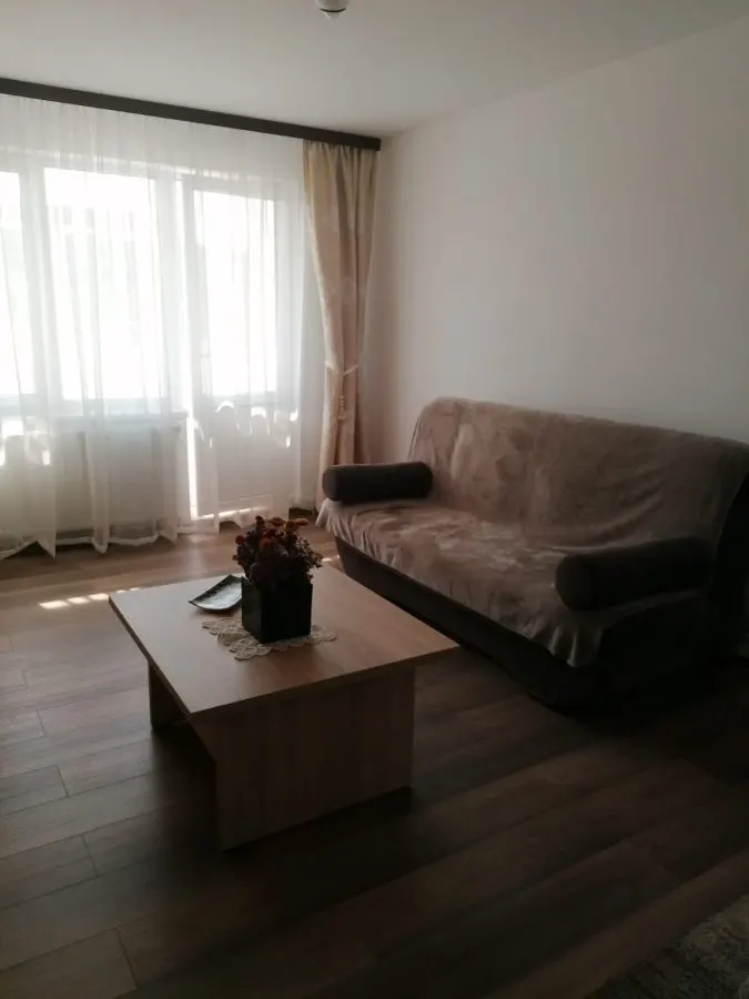 Apartament 2 Camere Alexandru cel Bun - 450 euro - foto 13