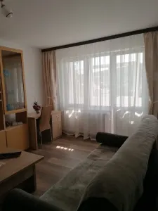 Apartament 2 Camere Alexandru cel Bun - 450 euro - foto 15