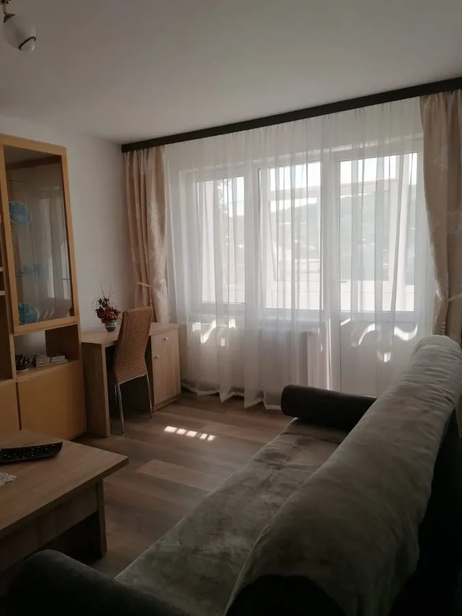 Apartament 2 Camere Alexandru cel Bun - 450 euro - foto 15