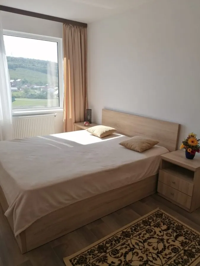 Apartament 2 Camere Alexandru cel Bun - 450 euro - foto 3