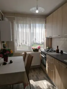 Apartament 2 Camere Alexandru cel Bun - 450 euro - foto 4