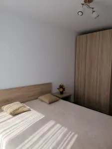 Apartament 2 Camere Alexandru cel Bun - 450 euro - foto 5