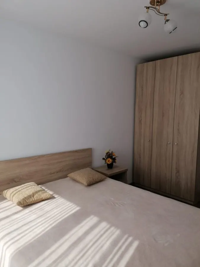 Apartament 2 Camere Alexandru cel Bun - 450 euro - foto 5