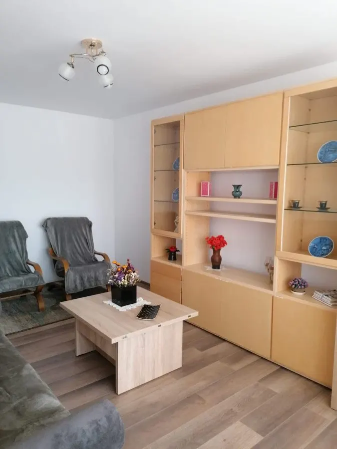 Apartament 2 Camere Alexandru cel Bun - 450 euro - foto 7