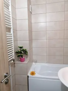 Apartament 2 Camere Alexandru cel Bun - 450 euro - foto 8