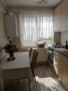 Apartament 2 Camere Alexandru cel Bun - 450 euro - foto 9