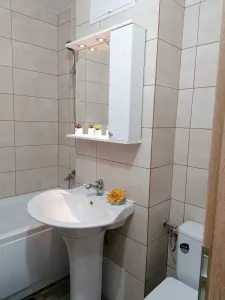 Apartament 2 Camere Alexandru cel Bun - 450 euro - foto 10