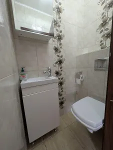 Apartament 3 camere + Terasa, Garaj - foto 13