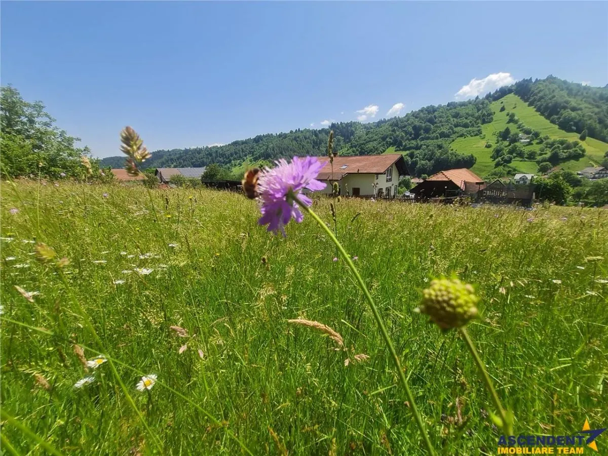 FILM! 1.450 mp intravilan, la DN, incantare peisagistica, Bran, Moieciu, Brasov - foto 16
