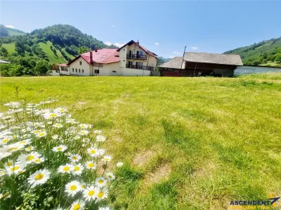 FILM! 1.450 mp intravilan, la DN, incantare peisagistica, Bran, Moieciu, Brasov - foto 3