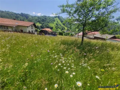 FILM! 1.450 mp intravilan, la DN, incantare peisagistica, Bran, Moieciu, Brasov - foto 21