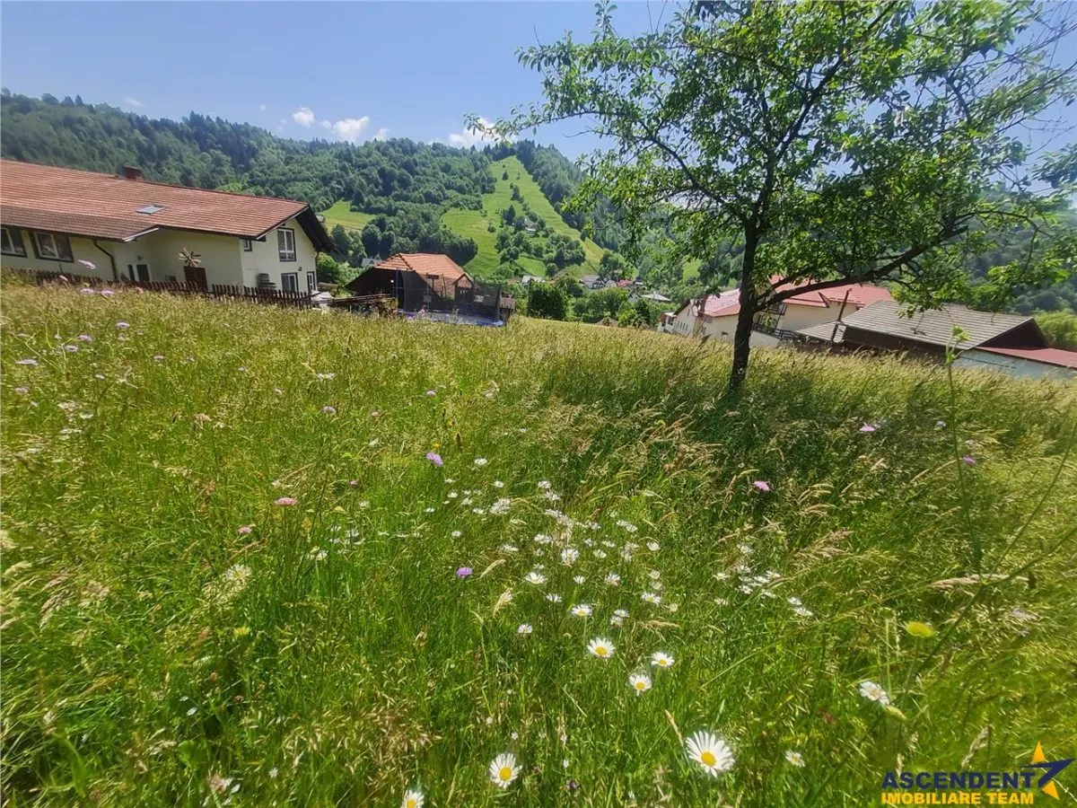 FILM! 1.450 mp intravilan, la DN, incantare peisagistica, Bran, Moieciu, Brasov - foto 21