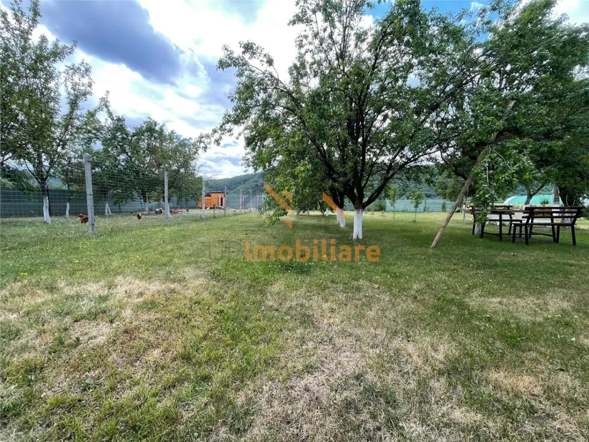 TEREN INTRAVILAN 8000 MP | PARTIAL IMPREJMUIT | PESTERE | BIHOR | - foto 1