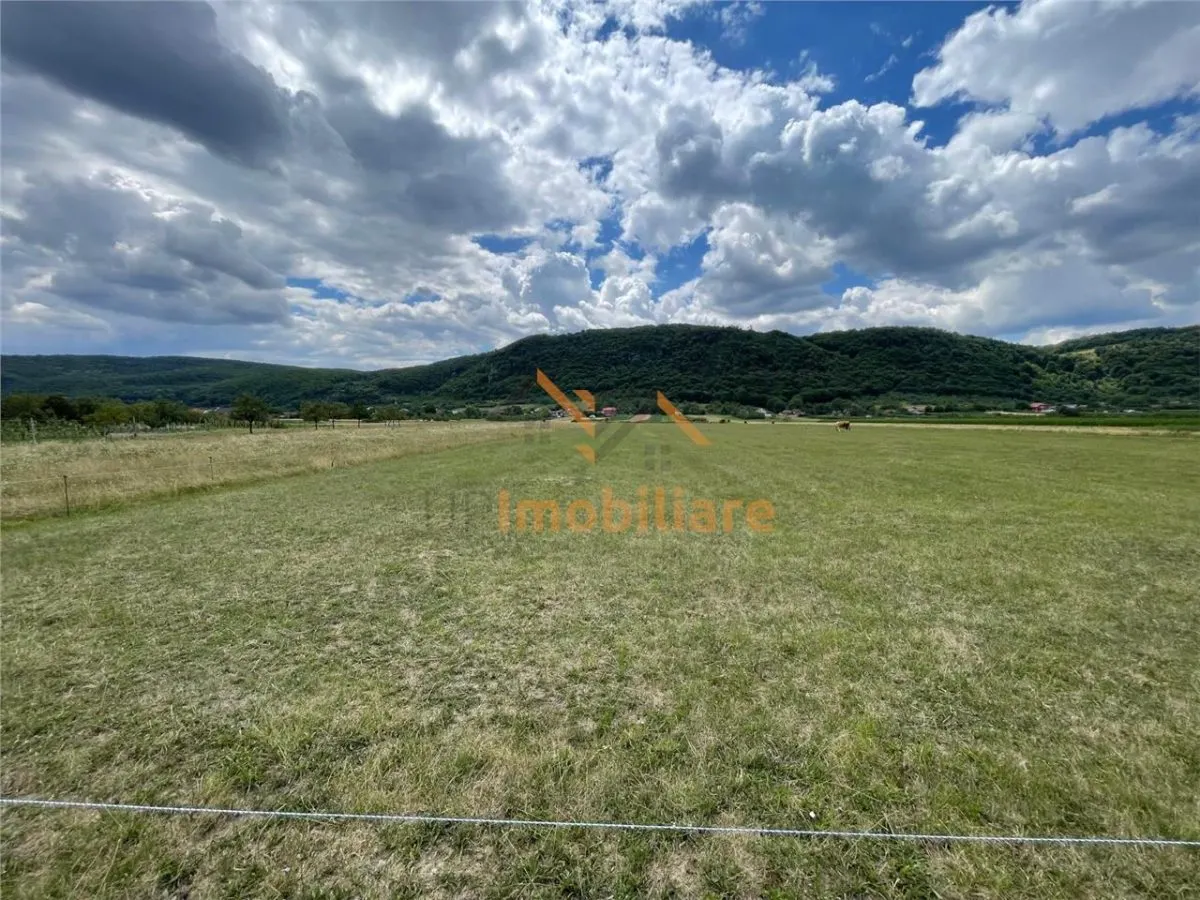 TEREN INTRAVILAN 8000 MP | PARTIAL IMPREJMUIT | PESTERE | BIHOR | - foto 2