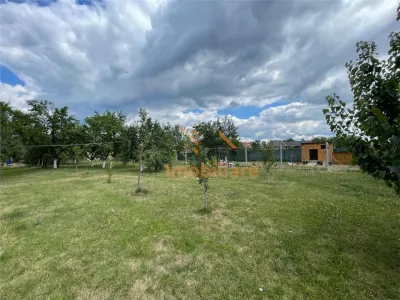 TEREN INTRAVILAN 8000 MP | PARTIAL IMPREJMUIT | PESTERE | BIHOR | - foto 3