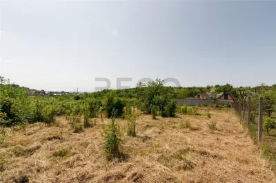 RECO Teren intravilan 1200 mp- front  30ml ,cu utilitati, Paleu - foto 13