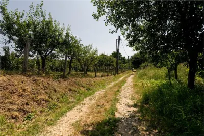 RECO Teren intravilan 1200 mp- front  30ml ,cu utilitati, Paleu - foto 17