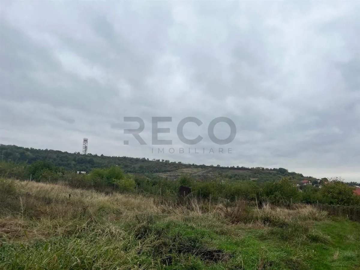 RECO Teren intravilan 1200 mp- front  30ml ,cu utilitati, Paleu - foto 20