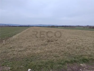 RECO Teren intravilan  Osorhei - foto 3