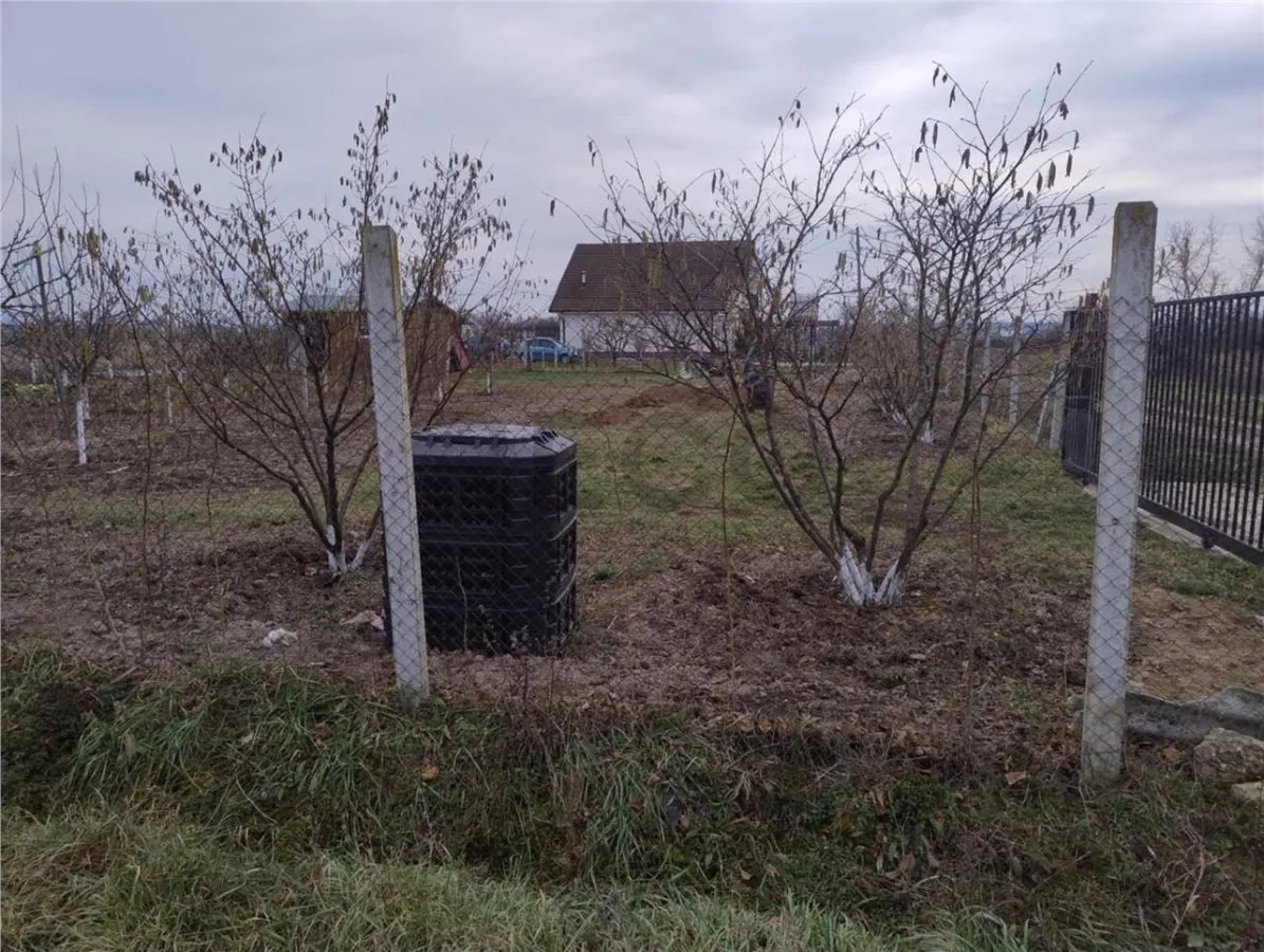 RECO Teren intravilan  Osorhei - foto 4