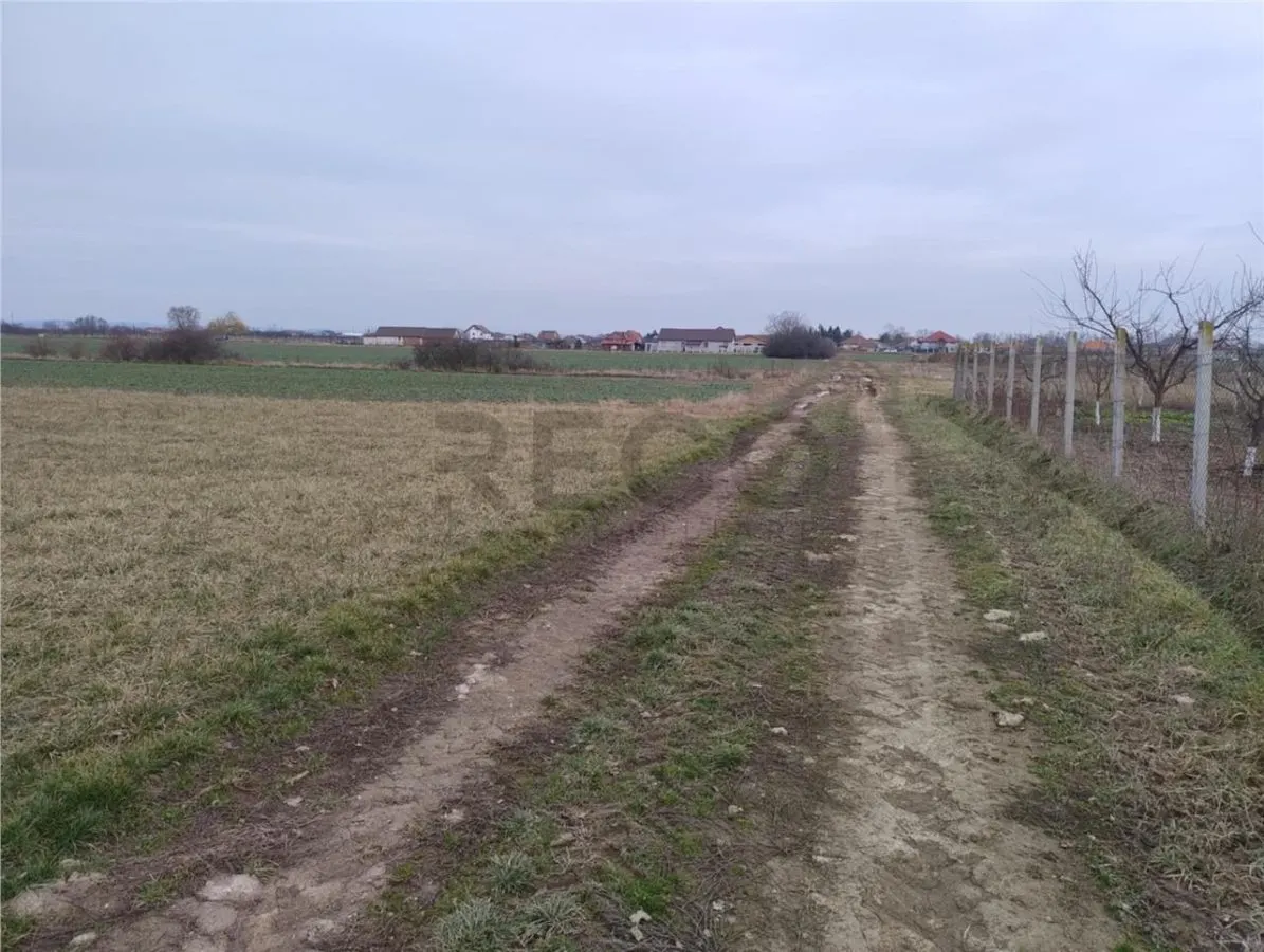 RECO Teren intravilan  Osorhei - foto 5