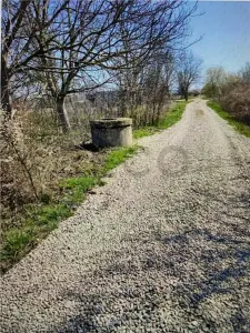 RECO  Teren in  Sanmartin  1780mp - foto 5