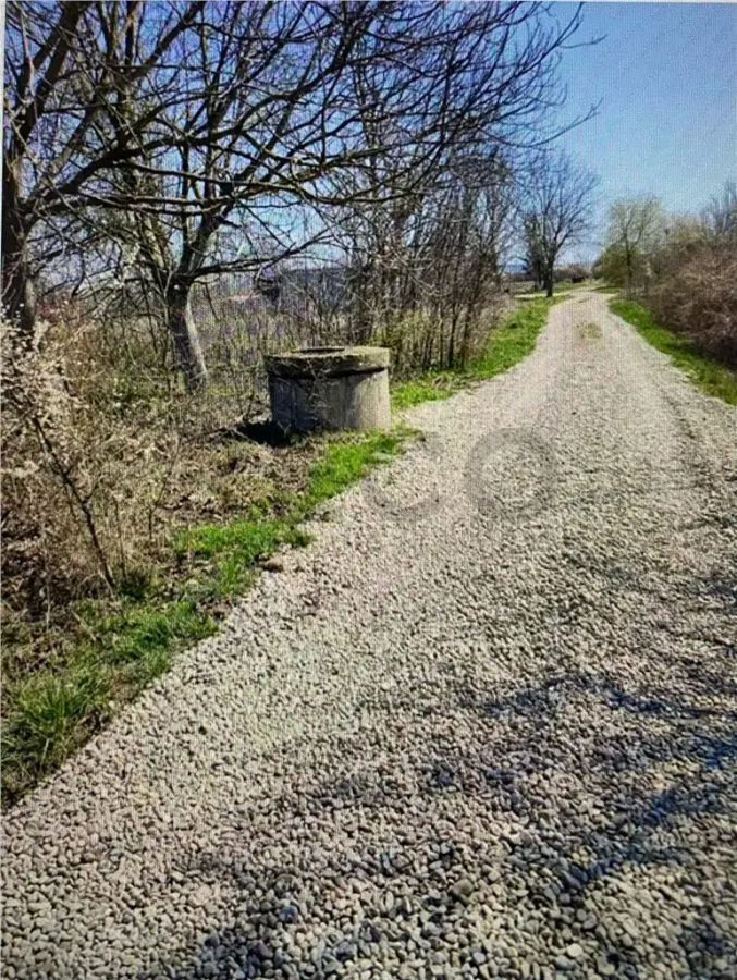 RECO  Teren in  Sanmartin  1780mp - foto 5