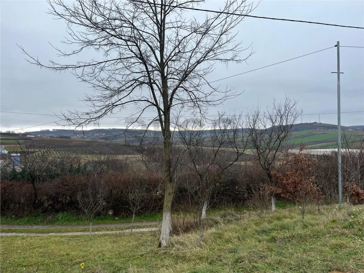 RECO Teren intravilan pentru casa 500 mp , Hidiselu de Sus - foto 1
