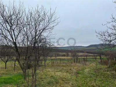 RECO Teren intravilan pentru casa 500 mp , Hidiselu de Sus - foto 2