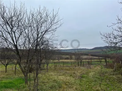 RECO Teren intravilan pentru casa 500 mp , Hidiselu de Sus - foto 3
