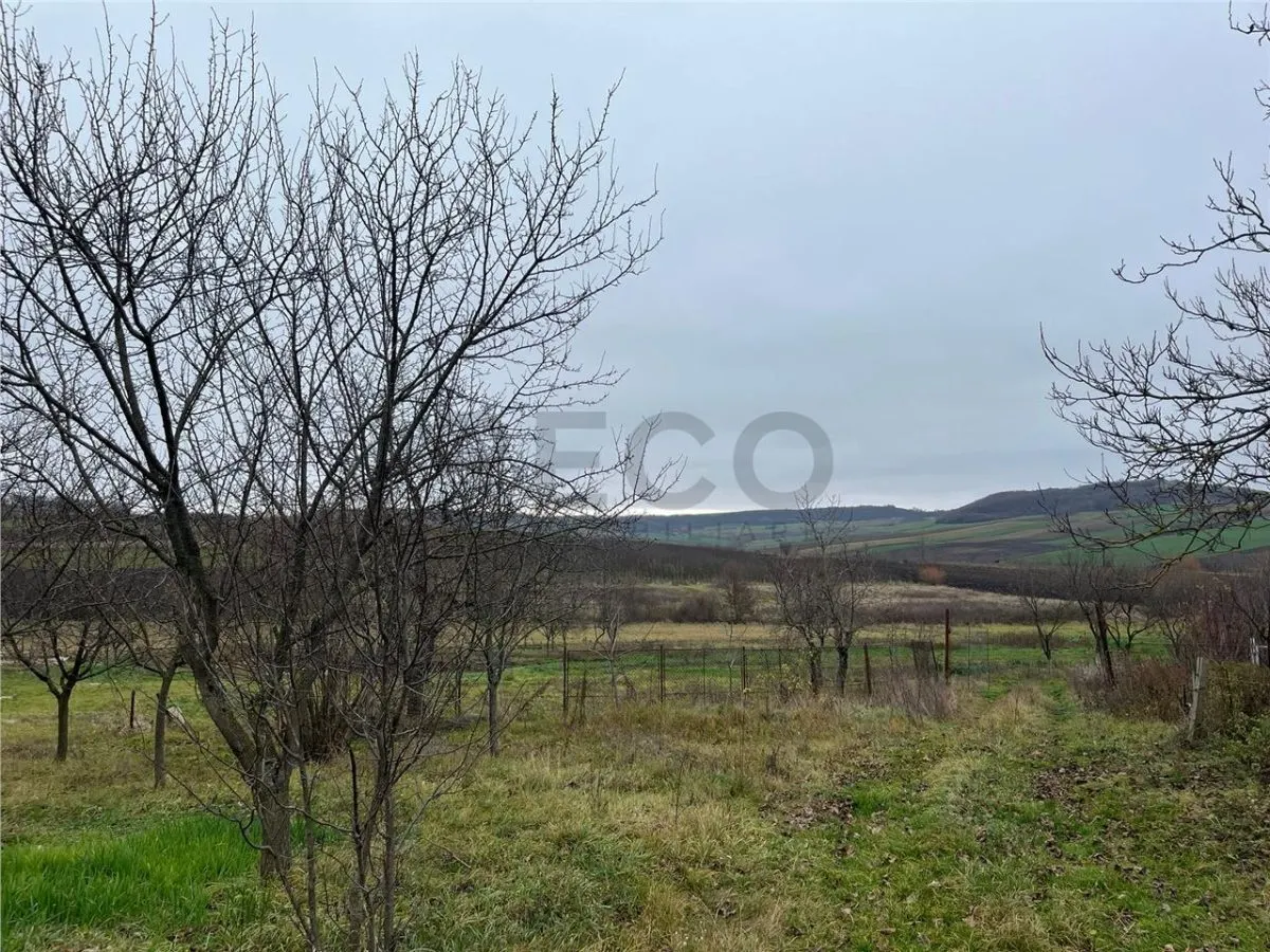 RECO Teren intravilan pentru casa 500 mp , Hidiselu de Sus - foto 3