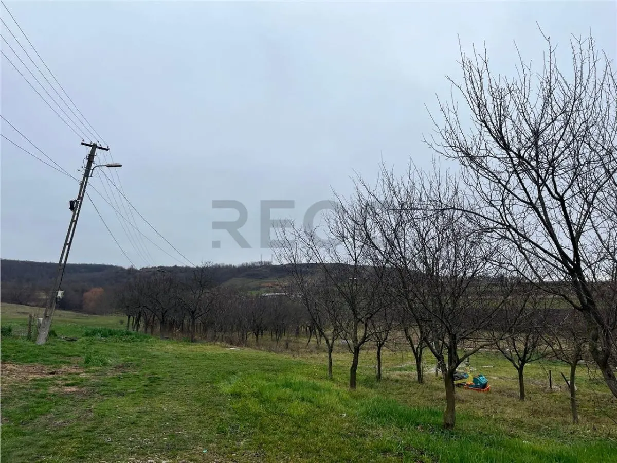 RECO Teren intravilan pentru casa 500 mp , Hidiselu de Sus - foto 6