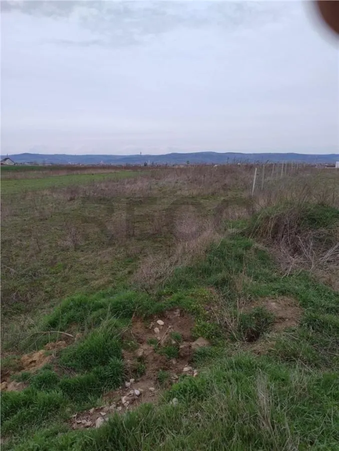 RECO Teren intravilan, Livada de Bihor - foto 1