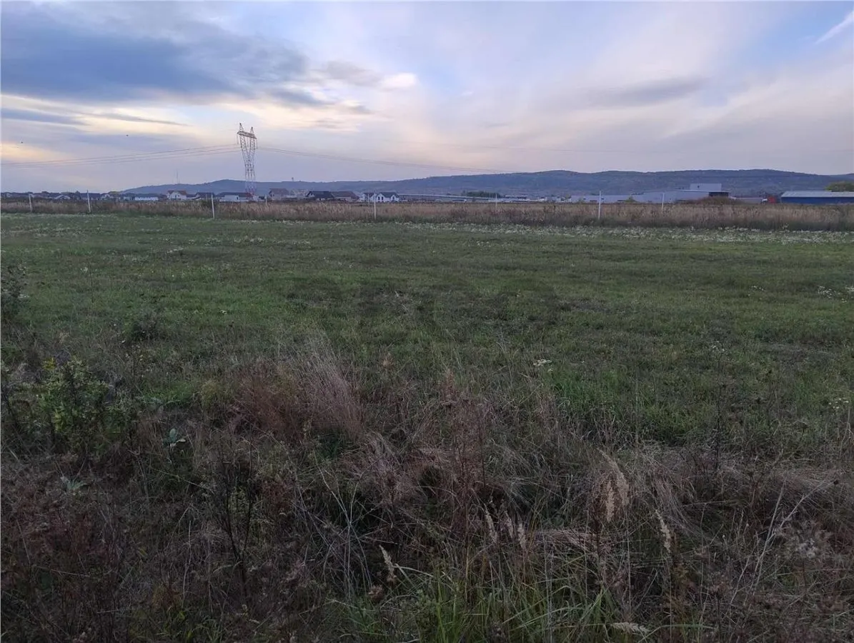 RECO Teren intravilan, Livada de Bihor - foto 2