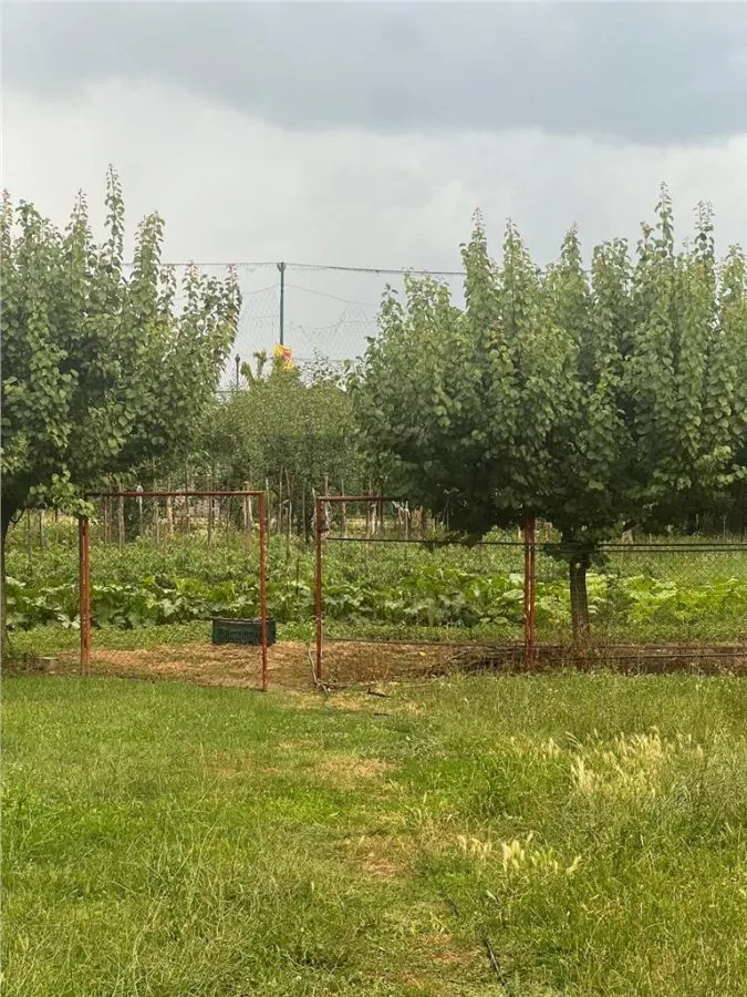 RECO Casa gata de mutat, zona Tileagd, - foto 6