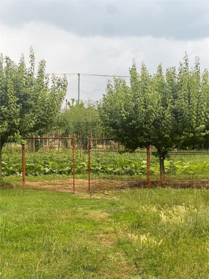 RECO Casa gata de mutat, zona Tileagd, - foto 9