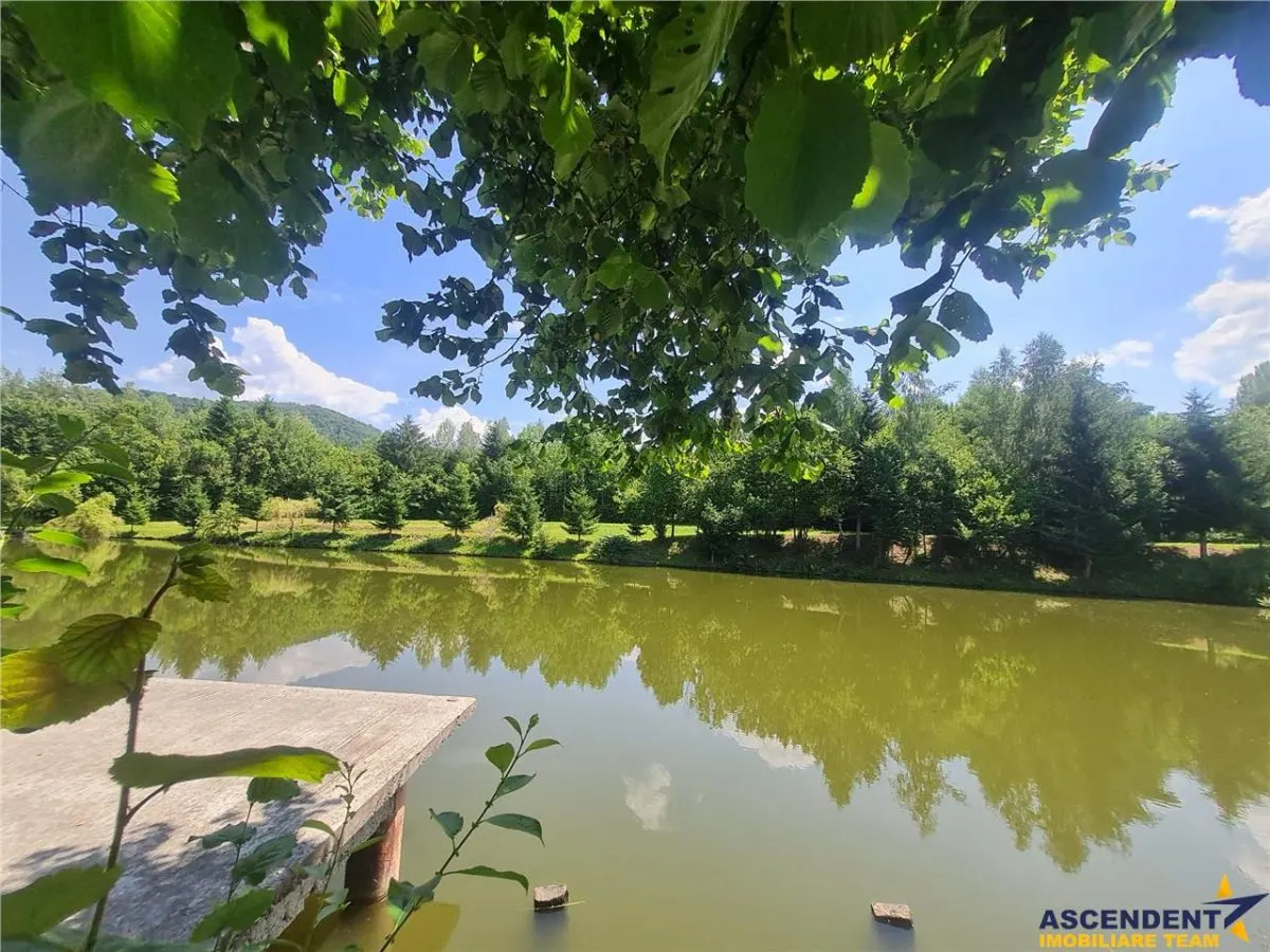 Refugiu idilic cu oglinda de apa, panorama montana, Glajerie/Rasnov, ideal mini resort - foto 19