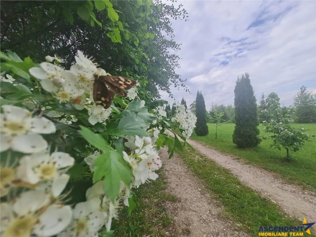 Refugiu idilic cu oglinda de apa, panorama montana, Glajerie/Rasnov, ideal mini resort - foto 20