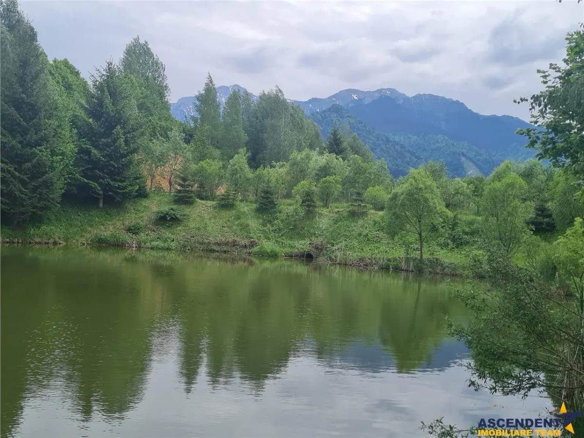 Refugiu idilic cu oglinda de apa, panorama montana, Glajerie/Rasnov, ideal mini resort - foto 21
