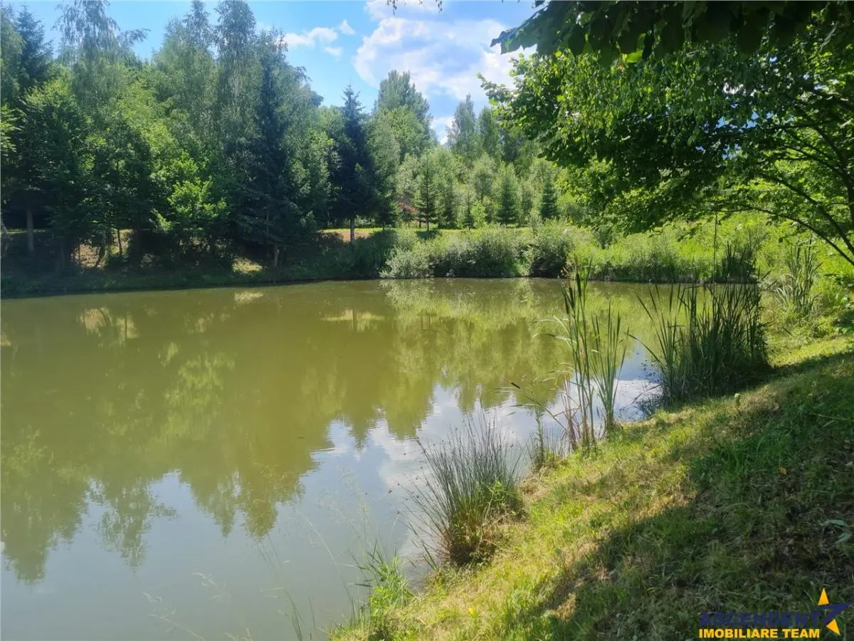 Refugiu idilic cu oglinda de apa, panorama montana, Glajerie/Rasnov, ideal mini resort - foto 23