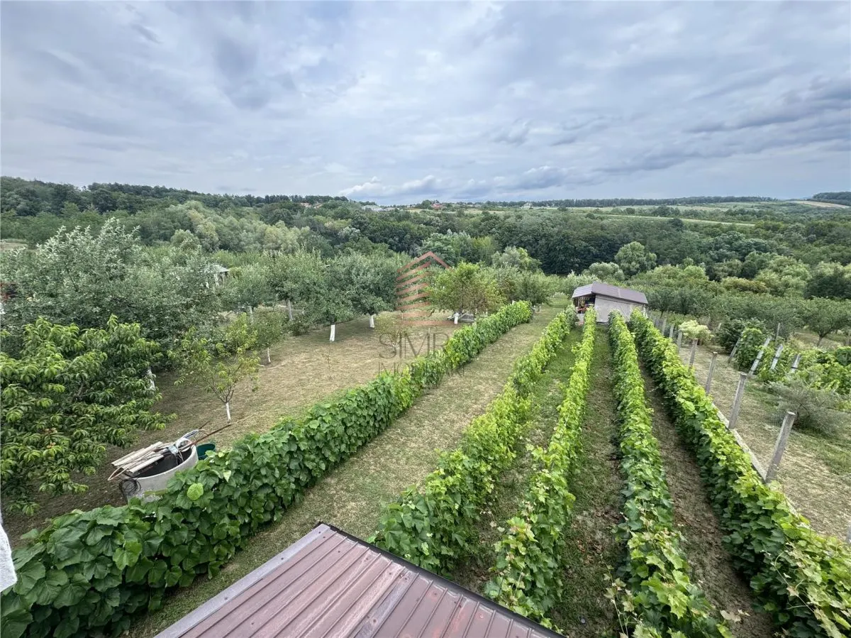 casa de vanzare P+M cu teren 3300 mp, Hidiselu de sus - foto 9