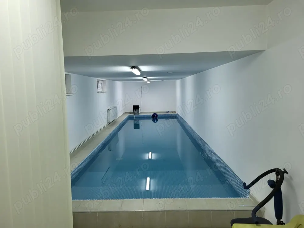 Casa cu 6 camere piscina si pivnita in Turnisor - foto 1