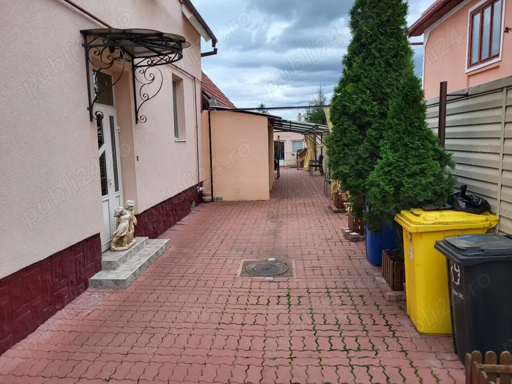 Casa cu 6 camere piscina si pivnita in Turnisor - foto 5